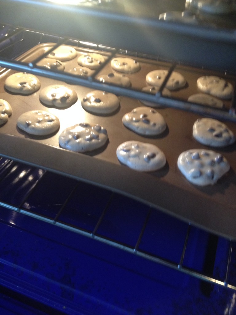 Malted Milk Chocolate Chip Cookies